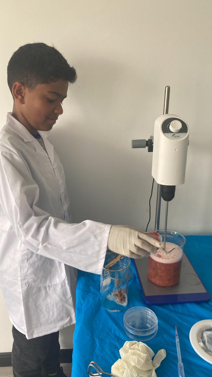Jóvenes en investigación